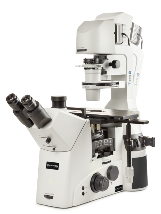 Omgekeerde trinoculaire microscoop Delphi-X Inverso DI.2053-PLPHFi - www.letscopes.com