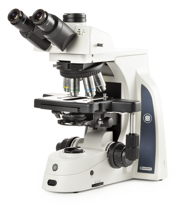 Multi-observer microscoop 3 waarnemers Delphi-X Observer DX.1156-APLi/3 - www.letscopes.com