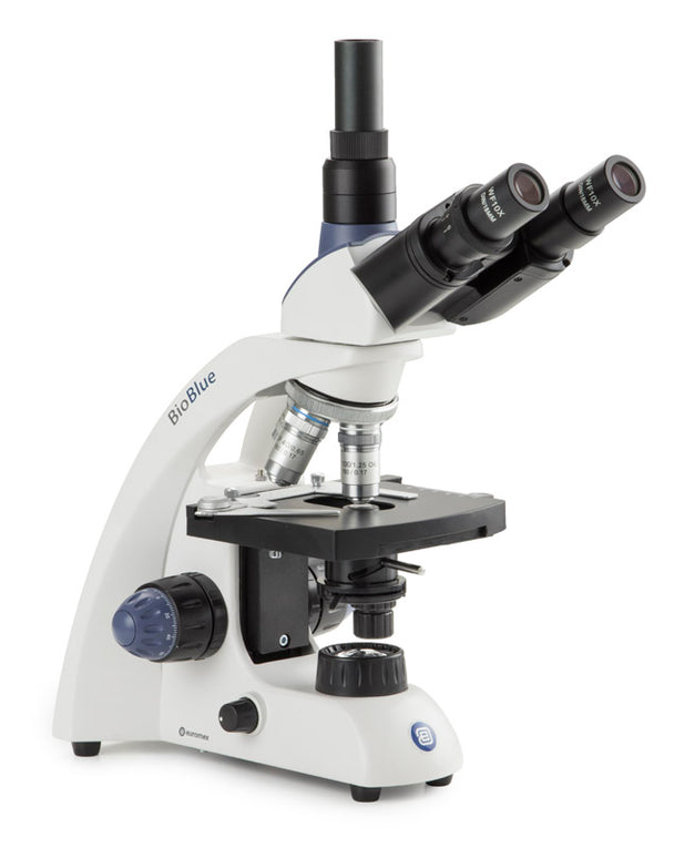 BioBlue trinocular microscope BB.4253 - www.letscopes.com
