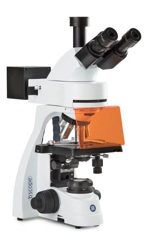 Trinoculaire microscoop BS.3153-PLFi/HBO - www.letscopes.com