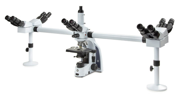 Binocular microscope for 5 users IS.1156-PLi5 - www.letscopes.com