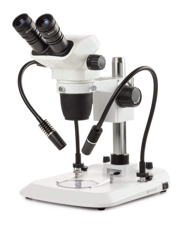 Binoculaire stereomicroscoop NZ.1902-PG - www.letscopes.com